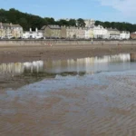 What Is Filey Moan?