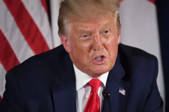 What Is HeTrumpsUs?