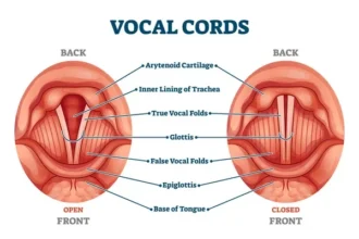 Preda-Cords Chomocords
